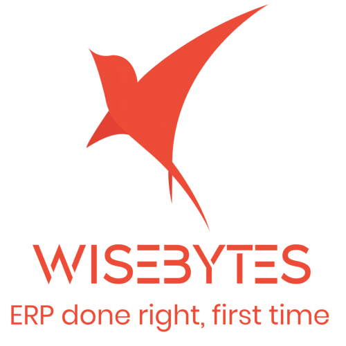 WISEBYTES SOLUTIONS INC